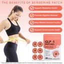 glp-1-support-patch-for-appetite-craving-71p2qT4UtML.jpg