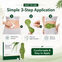 japanese-herbal-balance-patch-for-abdome-71tUGborheL.jpg