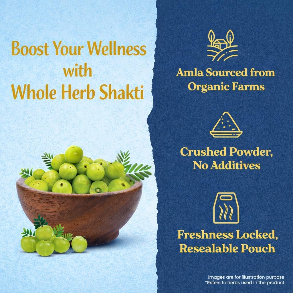 dehydrated-fruit-vegetable-amla-powder-1-71wR1c04quL.jpg