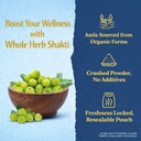 dehydrated-fruit-vegetable-amla-powder-1-71wR1c04quL.jpg