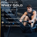 nakpro-nutrition-gold-whey-protein-conce-718hc8hjj2L.jpg