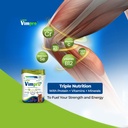 lupin-vimpro-nutritional-chocolate-prote-61ox-kvIrRL.jpg