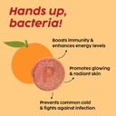 plix-the-plant-fix-vitamin-c-immunity-bo-61Kyl4sP6lL.jpg