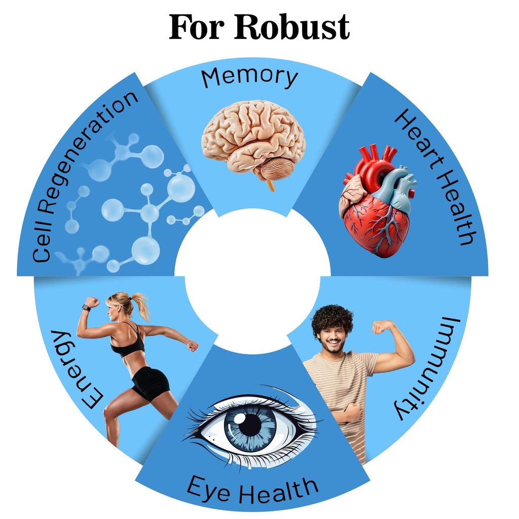 healing-pharma-healvital-5g-multivitamin-71rHwlVFPPL.jpg
