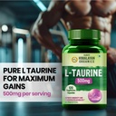 vlado-s-himalayan-organics-l-taurine-500-6193hvweXfL.jpg