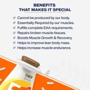 myfitfuel-eaa-plus-essential-amino-acids-71pijnBA8iL.jpg