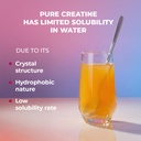 wow-life-science-micronized-creatine-mon-51KjfnCsMQL.jpg
