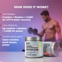 wow-life-science-micronized-creatine-mon-61kjwpF6Q5L.jpg