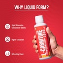 bolt-l-carnitine-liquid-3000-mg-converts-81yq+b0EnlL.jpg