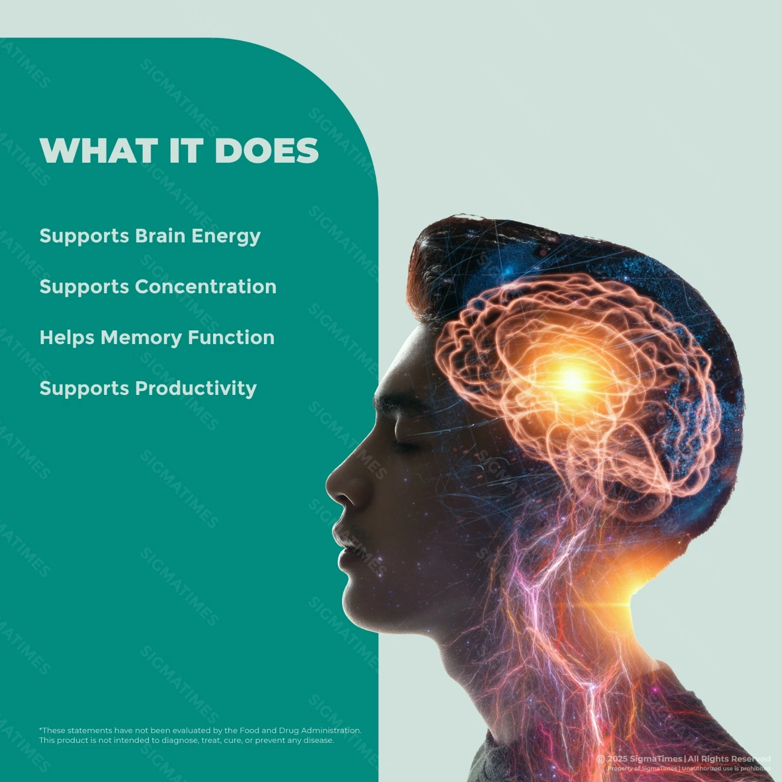 mind-excellium-capsules-brain-health-sup-5.jpg