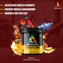 impact-creatine-monohydrate-powder-post--71HpVV7KfpL.jpg