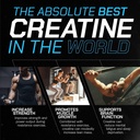 impact-creatine-monohydrate-powder-post--71+XdPQDfpL.jpg