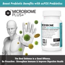 microbiome-plus-prebiotics-scfos-prebiot-2.jpg