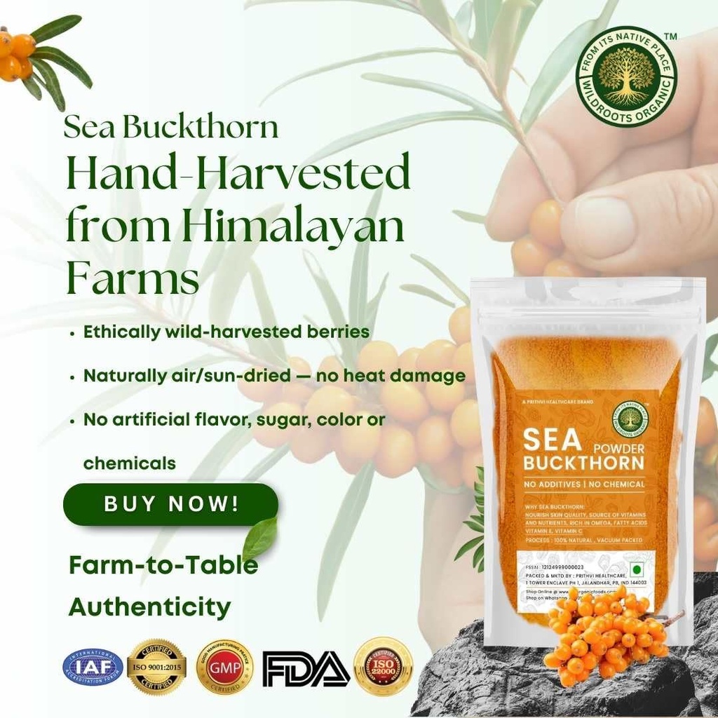 sea-buckthorn-berries-powder-100g-rich-i-61+kYCoY5OL.jpg