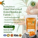 sea-buckthorn-berries-powder-100g-rich-i-61+kYCoY5OL.jpg