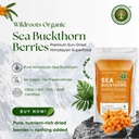 sea-buckthorn-berries-powder-100g-rich-i-71ncqS+yuTL.jpg