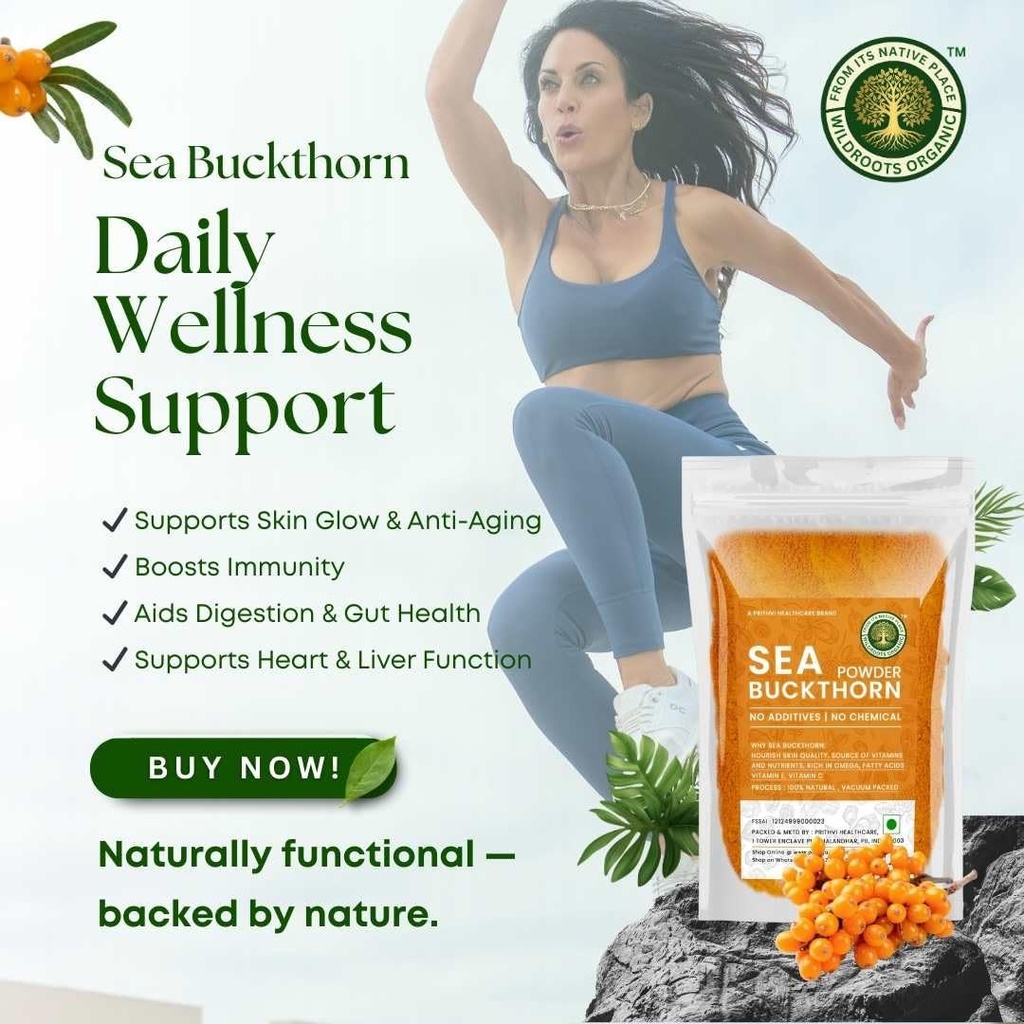 sea-buckthorn-berries-powder-100g-rich-i-61z5FWtXpfL.jpg