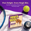 gauneeti-power-brick-nutribar-120-grams--81sttdj0aVL.jpg