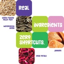 mumories-quinoa-bar-175g-high-protein-hi-819eMjV8r7L.jpg
