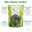 yuvika-karanjwa-sagar-goti-pongamia-pinn-61yAdqie1lL.jpg