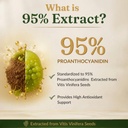 grapeseed-capsule-500-mg-60-capsule-61Jiny9IWyL.jpg