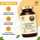 l-carnosine-500mg-premium-antioxidant-an-61czU4v9edL.jpg