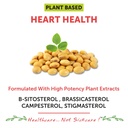 bliss-welness-cholesterol-management-pur-71JJIExYyWL.jpg