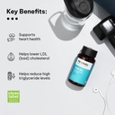 hk-vitals-fish-oil-multivitamin-2-x-30-t-61Hi+XlkkDL.jpg