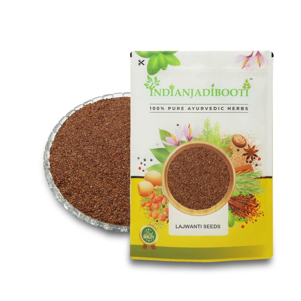 indianjadibooti-pure-lajwanti-seeds-mimo-81ZyT-BWfwL.jpg