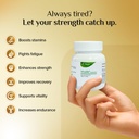 l-amar-women-s-wellness-combo-reve-vital-6188emjV+IL.jpg