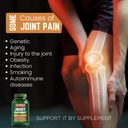 joint-support-supplement-60-tablets-61SkkyOFGLL.jpg