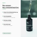 deep-impact-microalgae-omega-3-oil-460mg-61ZSeodUujL.jpg
