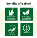 dabur-sat-isabgol-psyllium-husk-180-200--61YK4i-qM2L.jpg