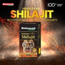 baidyanath-shilajeet-50-tablets-81aC4C1o+tL.jpg