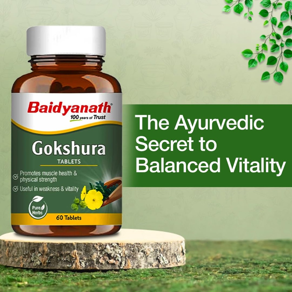 baidyanath-ayurved-gokshura-60-tablets-s-614g4HDIiKL.jpg