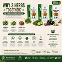 neutraved-combo-gurmar-powder-karela-and-71hRb13+2VL.jpg