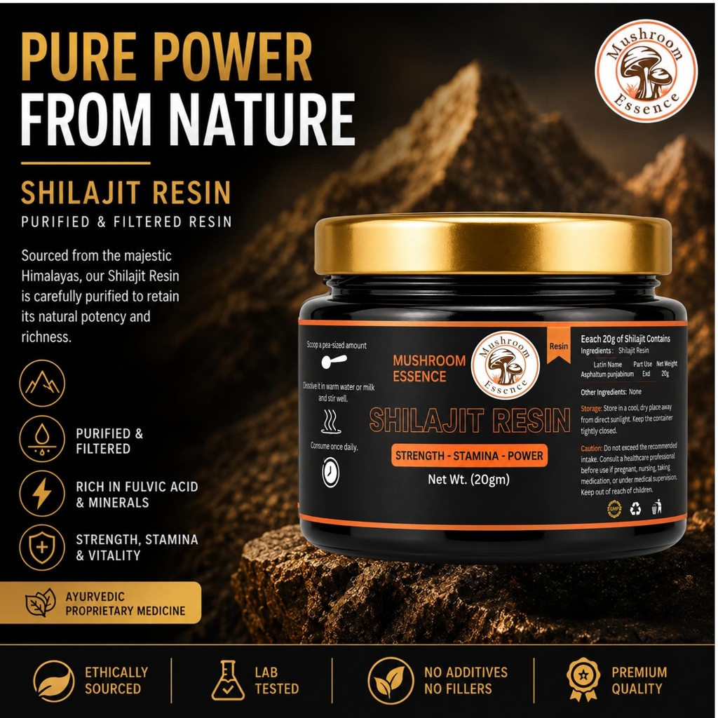 shilajit-resin-purified-himalayan-shilaj-81lQlTbBu-L.jpg