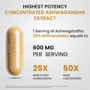 vlado-s-himalayan-organics-ashwagandha-2-71nMRu-FmPL.jpg
