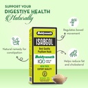 baidyanath-asli-ayurved-isabgol-psyllium-71GDGWgS-fL.jpg