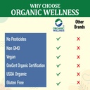 organic-wellness-5-high-curcumin-turmeri-61QU8TSWrzL.jpg