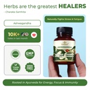 dharishah-ayurveda-ashwagandha-tablets-n-71I1BPC4uHL.jpg