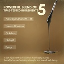 rasayanam-shilajit-gold-resin-20g-80-ser-81NH3b1h+4L.jpg