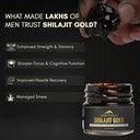 rasayanam-shilajit-gold-resin-20g-80-ser-71xk9LGvJqL.jpg