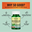 morpheme-remedies-phyllanthus-niruri-bhu-61C5A2DW93L.jpg