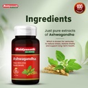 baidyanath-ashwagandha-60-tablets-ayurve-616YME8jkkL.jpg