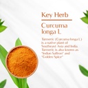 maharishi-ayurveda-organicturmeric-capsu-61SQmkEmTaL.jpg