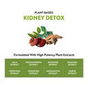 stonex-helps-to-detox-kidney-cleanse-pur-615ysSrvnzL.jpg