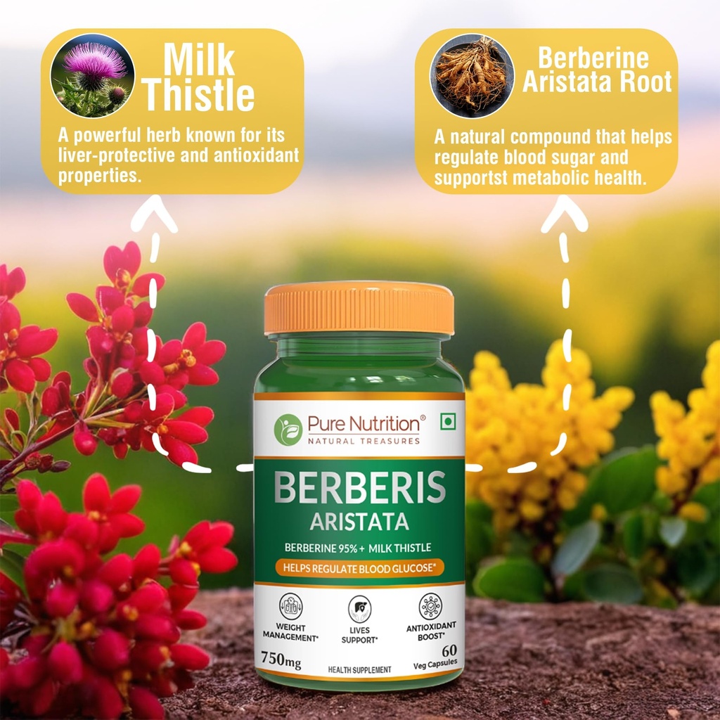 pure-nutrition-berberis-aristata-supplem-81zb8jzQJGL.jpg