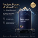 nutrazen-himalayan-shilajit-shilajeet-60-71euyqrS7EL.jpg