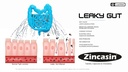 zincasin-plus-leewell-gastric-health-sup-71aDI+k-xbL.jpg